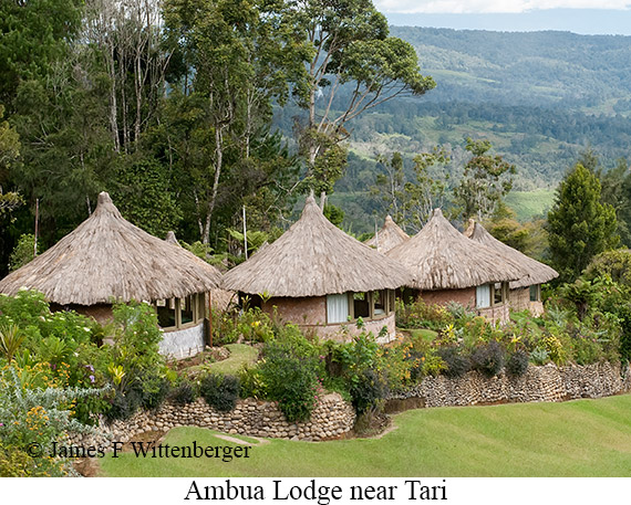 Ambua Lodge - © The Photographer and Exotic Birding LLC