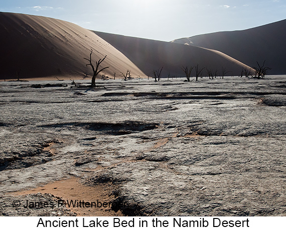 Ancient Lakebed - © James F Wittenberger and Exotic Birding LLC