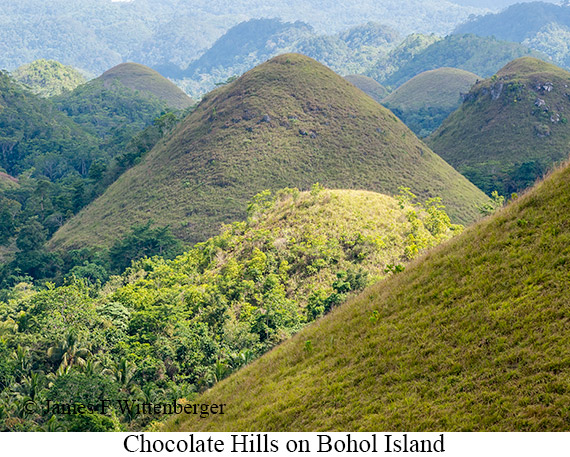 Chocolate Hills - © James F Wittenberger and Exotic Birding LLC Chocolate Hills - © James F Wittenberger and Exotic Birding LLC