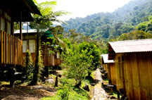 Private cabanas at Cock-of-the-Rock Lodge along the Manu Road, Peru - © James F Wittenberger and Exotic Birding tours