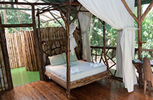 Standard room at Danta Corcovado Lodge in Osa Peninsula, Costa Rica