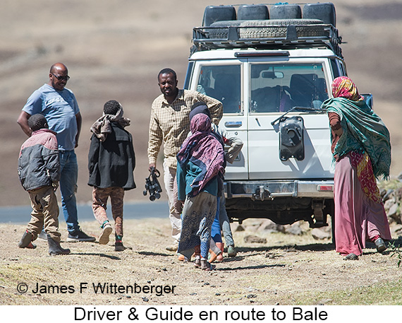 Elias-teddy Locals - © James F Wittenberger and Exotic Birding LLC