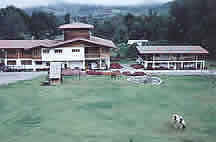 Los Quetzales Lodge - courtesy Los Quetzales Lodge