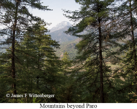 Mountain view from Paro - © James F Wittenberger and Exotic Birding LLC Mountain view from Paro - © James F Wittenberger and Exotic Birding LLC