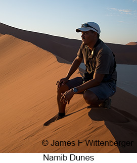 Namib Dunes - &copy; James F Wittenberger and Exotic Birding LLC