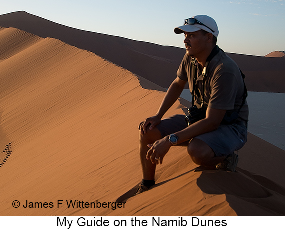 Namib Dunes - © James F Wittenberger and Exotic Birding LLC