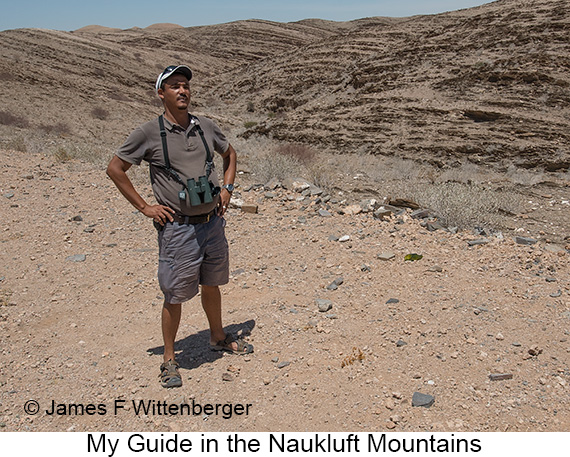 Naukluft Mountains - © James F Wittenberger and Exotic Birding LLC