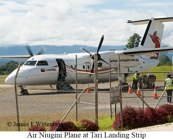 Our-plane Tari - © James F Wittenberger and Exotic Birding LLC