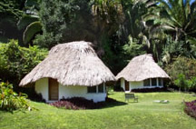 Pook's Hill cabina in Belize - &copy; Laura L Fellows and Exotic Birding tours