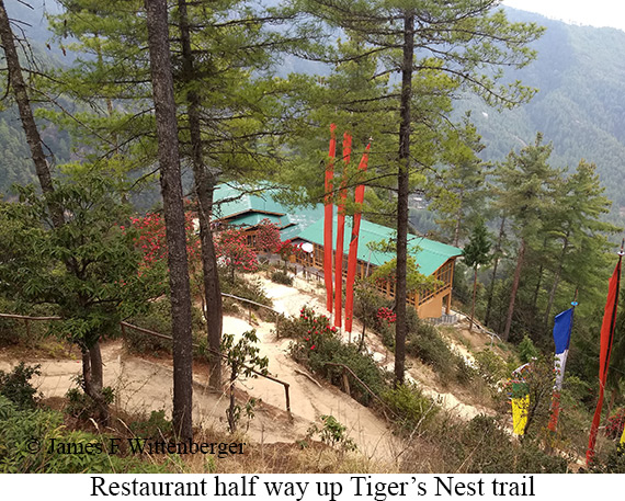 Restaurant along Tiger's Nest trail - © James F Wittenberger and Exotic Birding LLC Restaurant along Tiger's Nest trail - © James F Wittenberger and Exotic Birding LLC