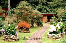 Cabina at Savegre Mountain Hotel in the Talamanca Mountains of Costa Rica - &copy; Laura L Fellows and Exotic Birding tours