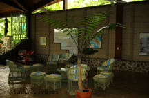 Reception area of Selva Verde Lodge in Costa Rica - &copy; Laura L Fellows and Exotic Birding tours
