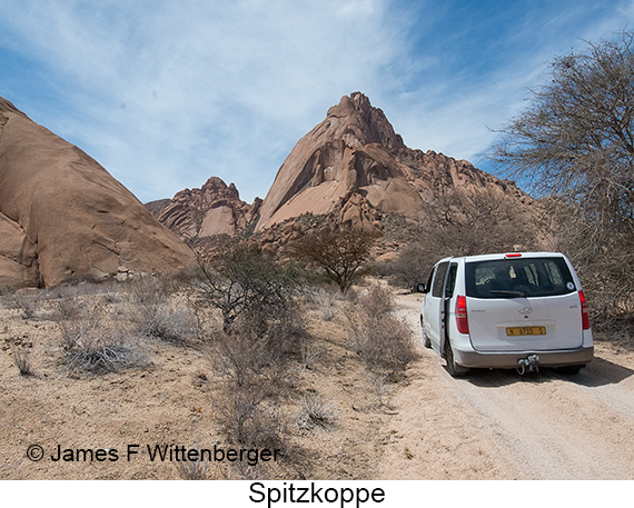 Spitzkoppe - © James F Wittenberger and Exotic Birding LLC Spitzkoppe - © James F Wittenberger and Exotic Birding LLC