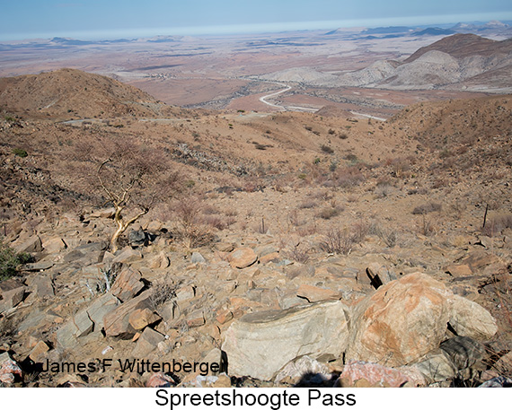 Spreetshoogte Pass - © James F Wittenberger and Exotic Birding LLC Spreetshoogte Pass - © James F Wittenberger and Exotic Birding LLC