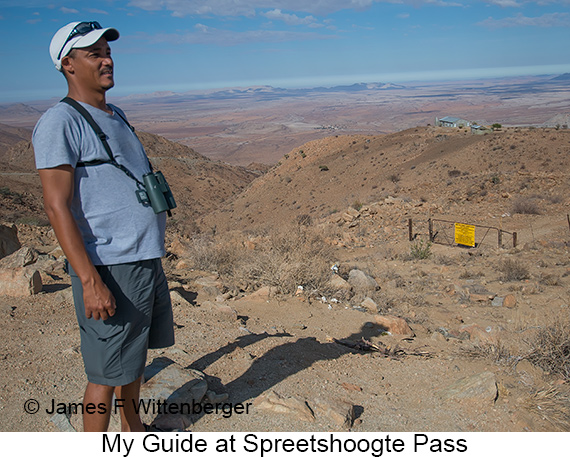 Spreetshoogte Pass - © James F Wittenberger and Exotic Birding LLC Spreetshoogte Pass - © James F Wittenberger and Exotic Birding LLC