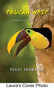 Toucan Nest - Cover Photo © Laura L Fellows